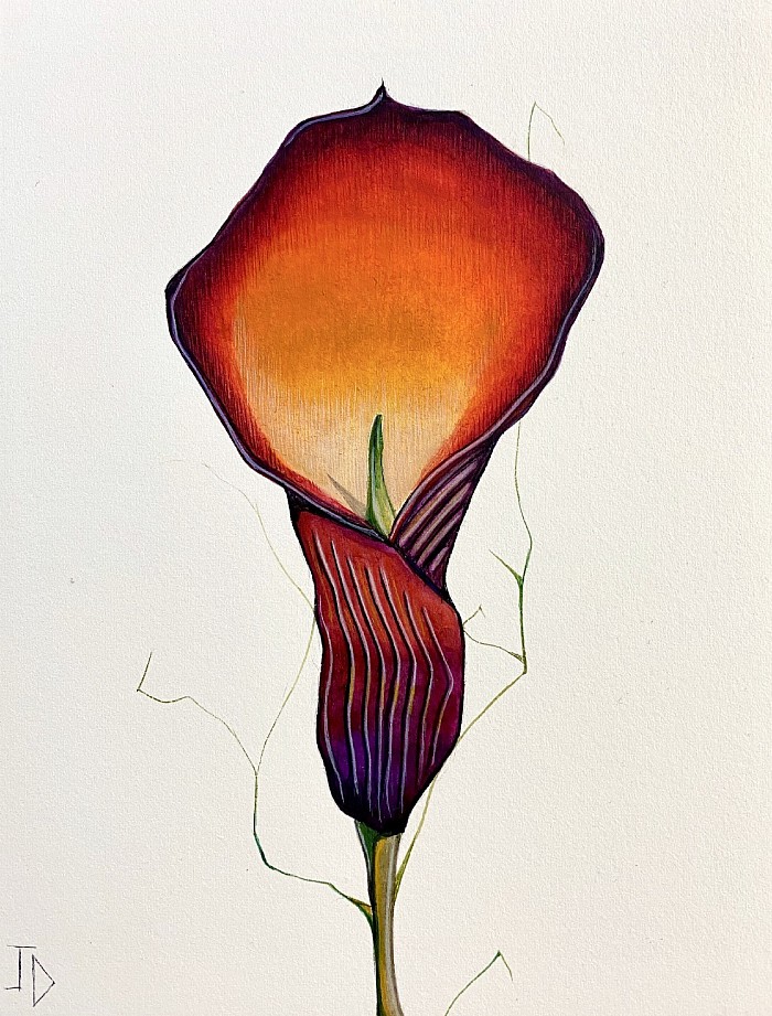 Original single flowers Lillie. Watercolour on arches paper 19 x 14 cm JDavies artworks 2021