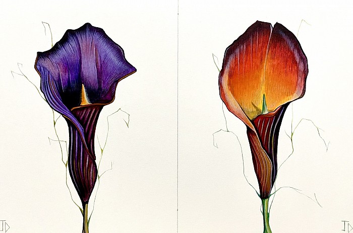 Watercolour flowers Lillie on arches paper, 28 x 19cm JDavies 2021.