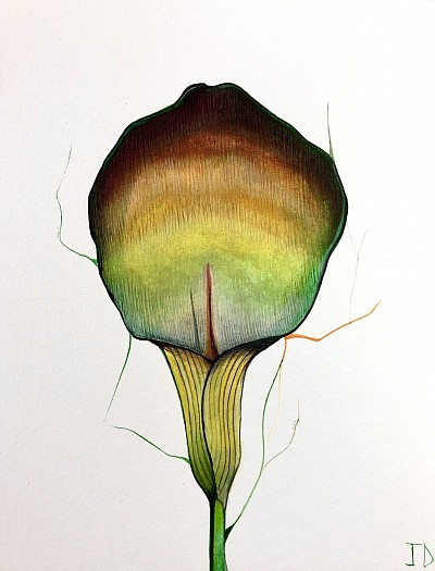Watercolour flowers