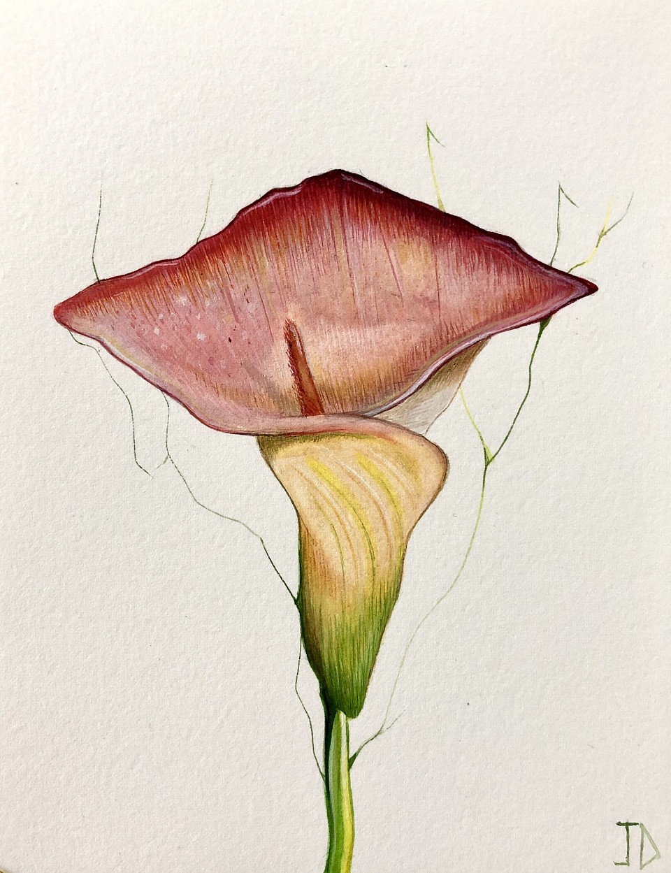 Watercolour flowers